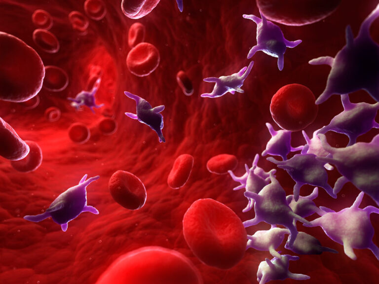 Platelets The Arab Hospital Magazine Leading platelets-the-arab-hospital-magazine-leading